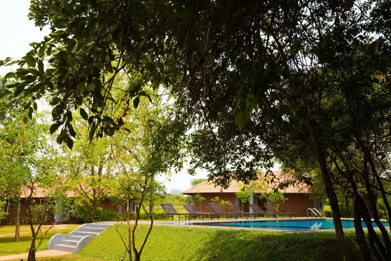 Foresta Resort Sigirîya Extérieur photo