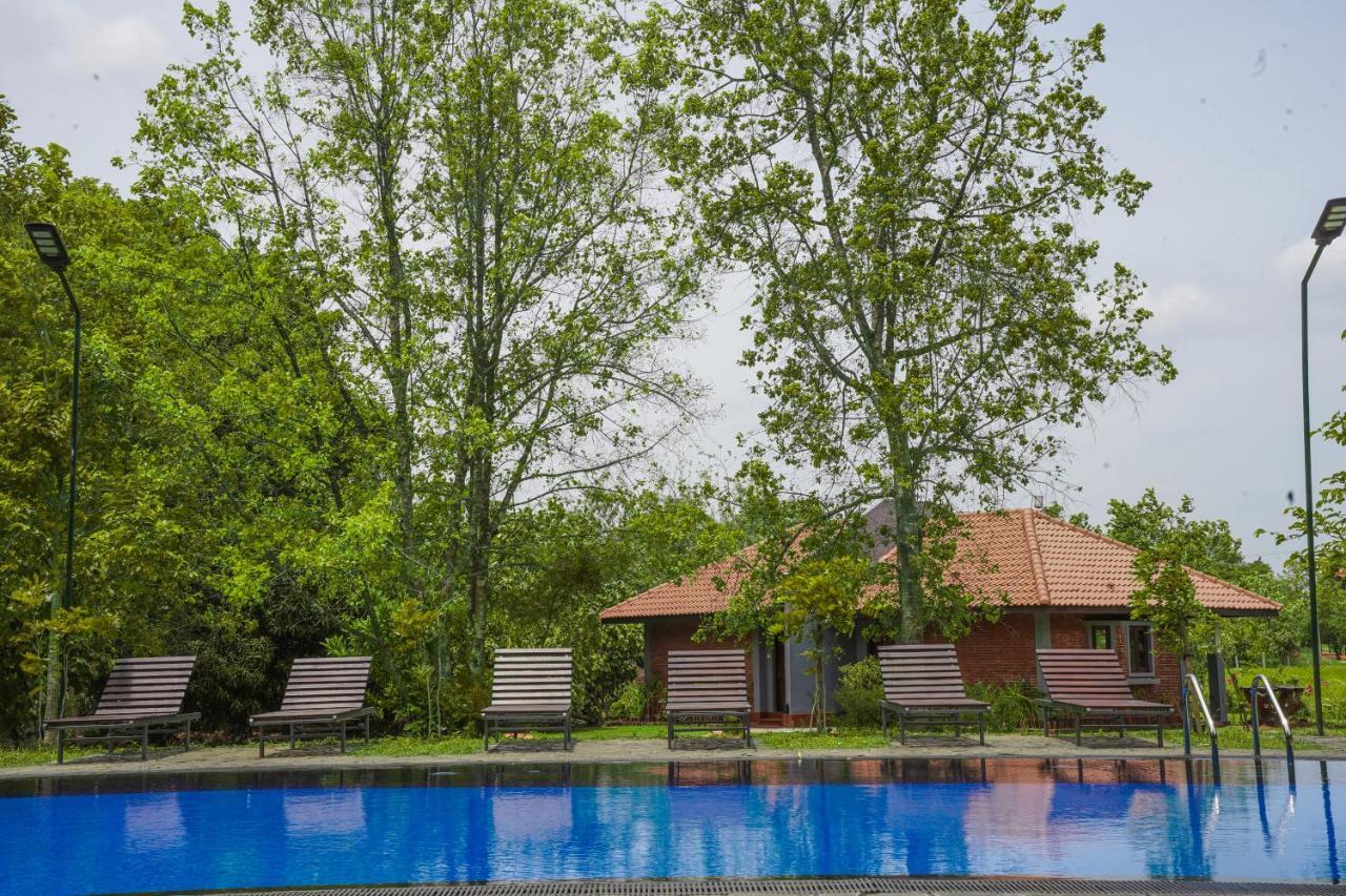 Foresta Resort Sigirîya Extérieur photo