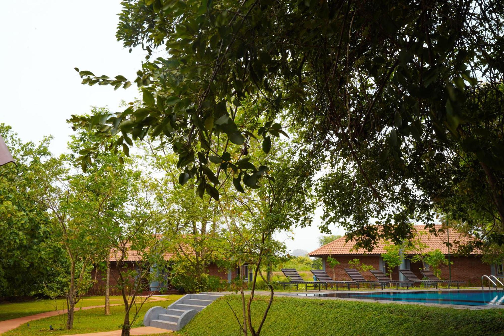 Foresta Resort Sigirîya Extérieur photo