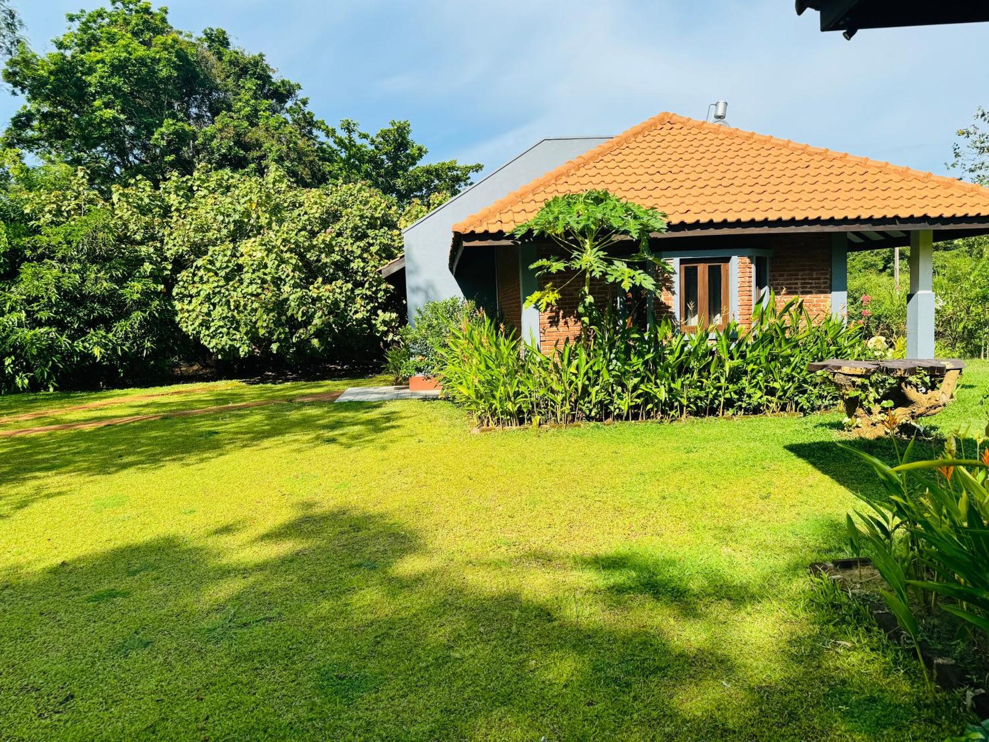 Foresta Resort Sigirîya Extérieur photo