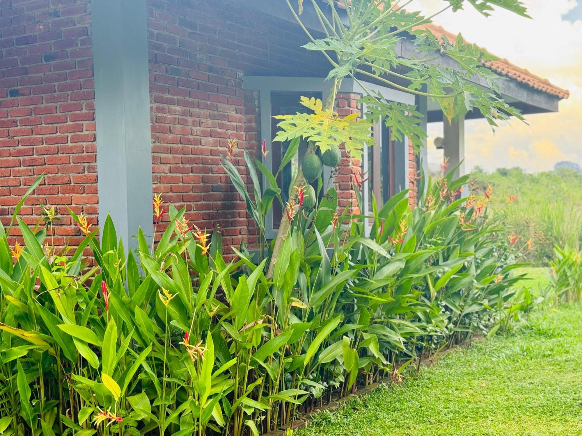 Foresta Resort Sigirîya Extérieur photo