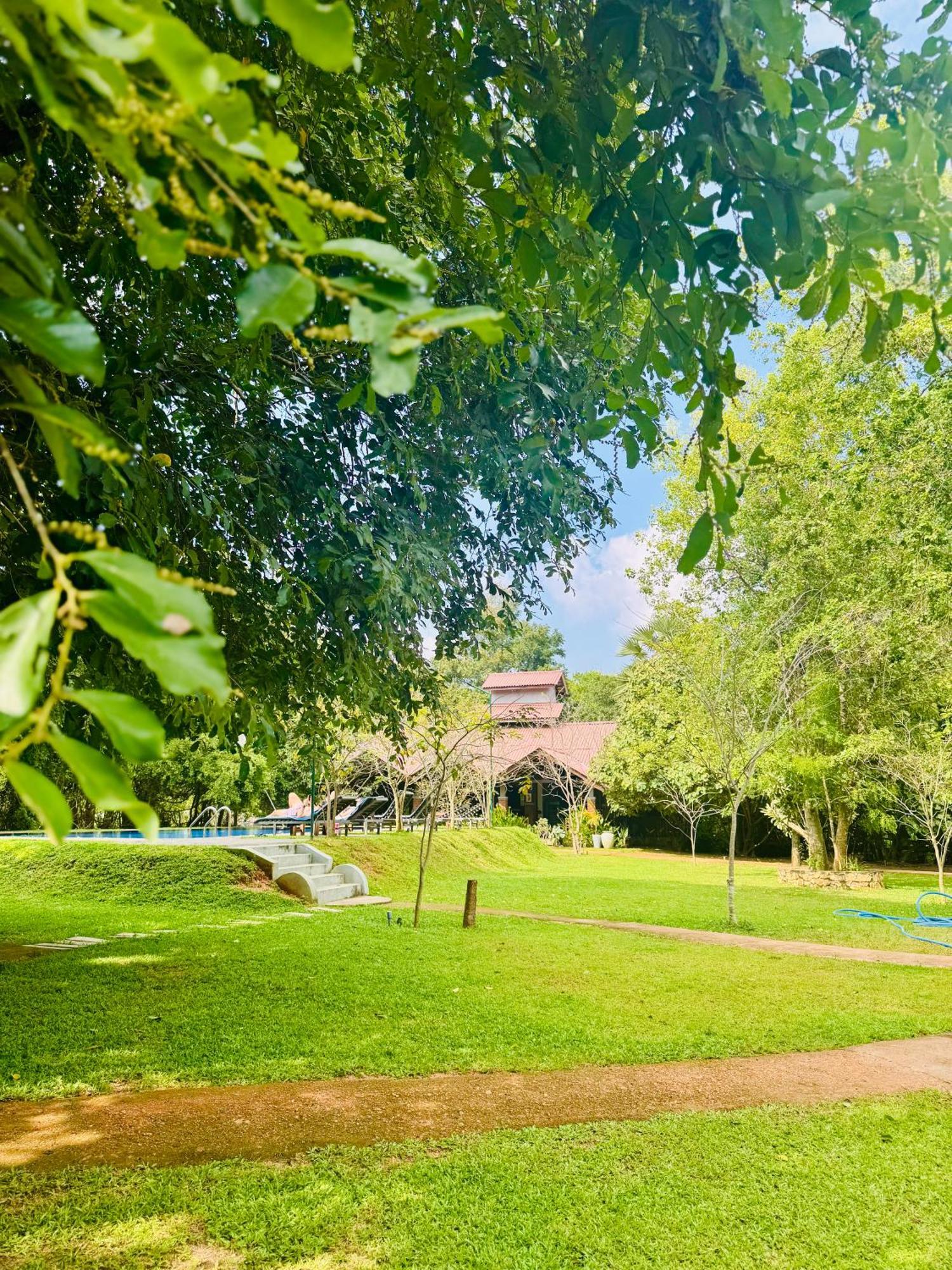 Foresta Resort Sigirîya Extérieur photo
