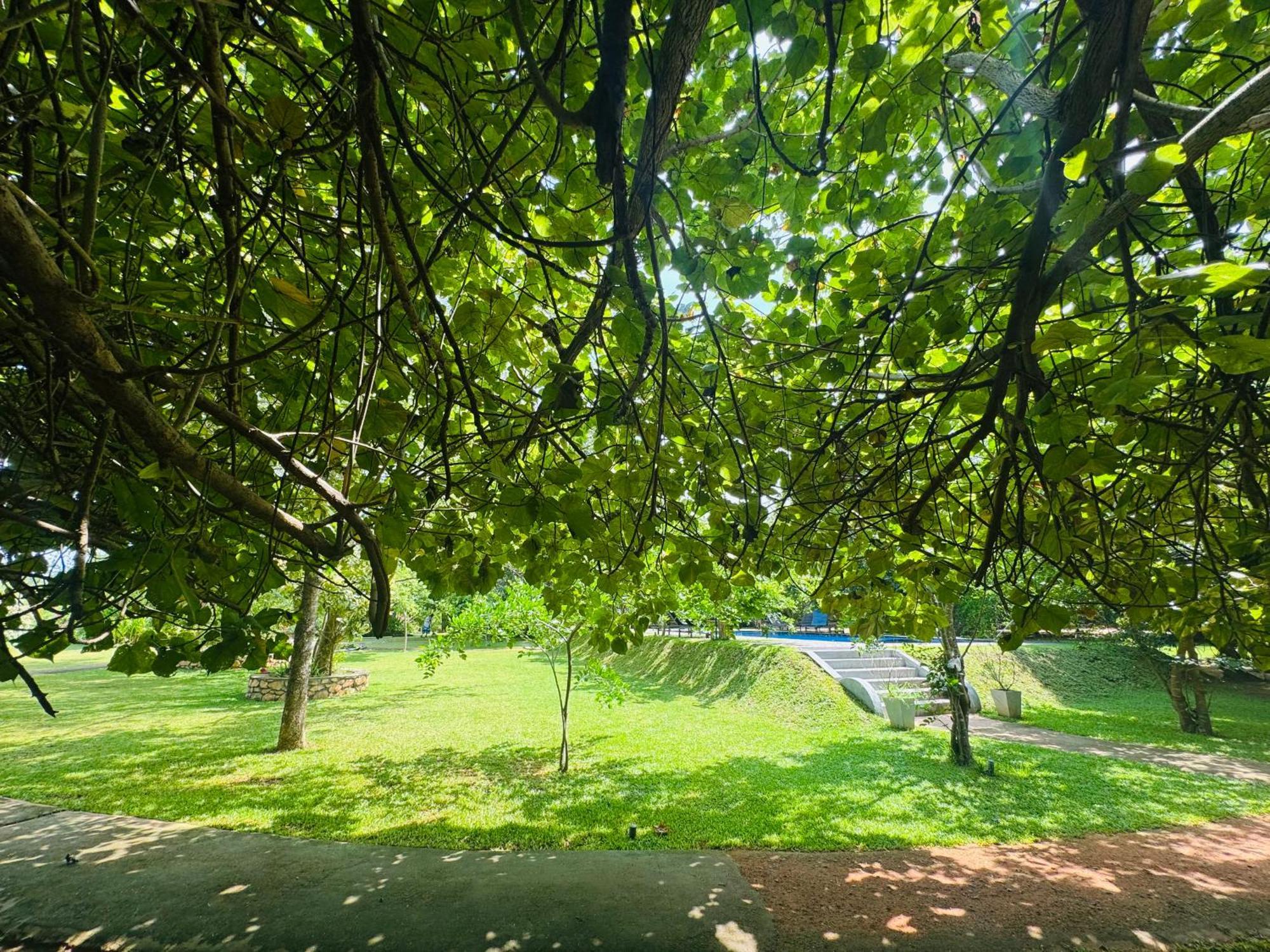 Foresta Resort Sigirîya Extérieur photo
